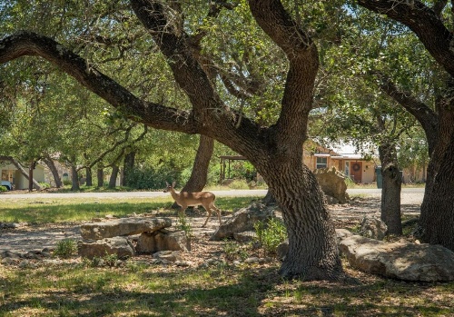 HILLS AND CHILLS home image 8